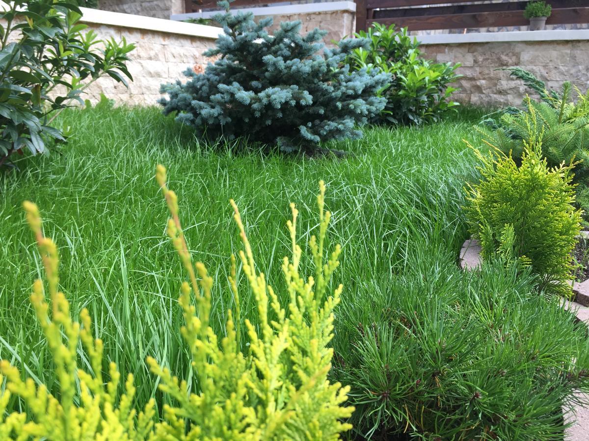 Garden * Predeal