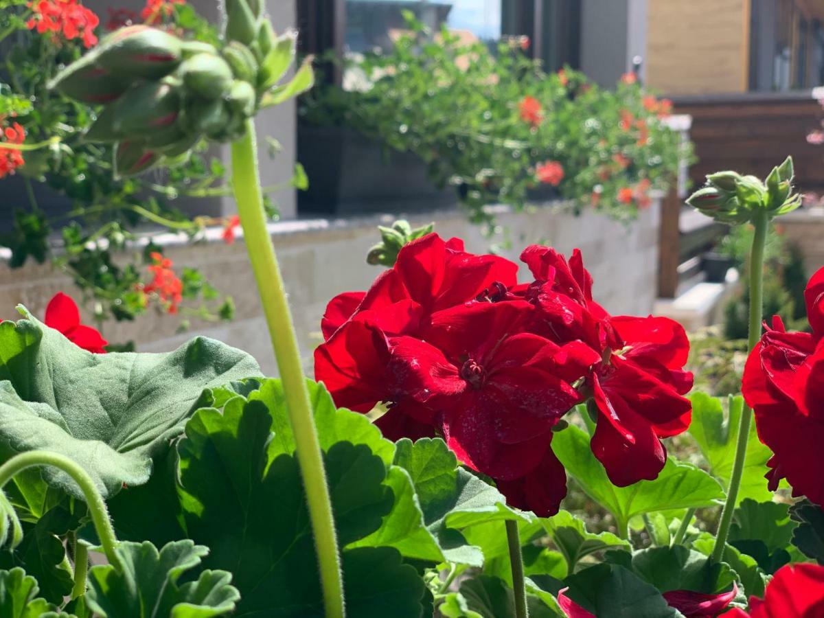 Appartement Garden