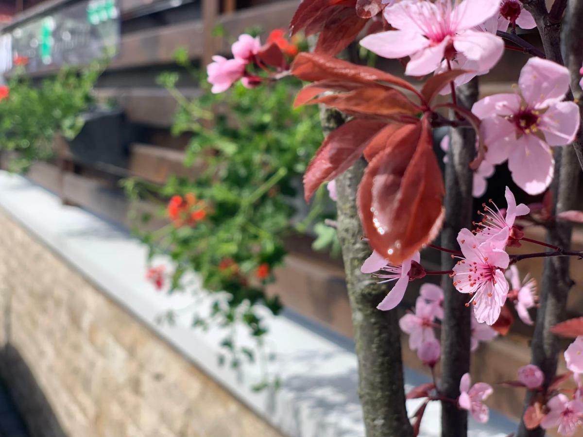 Garden *